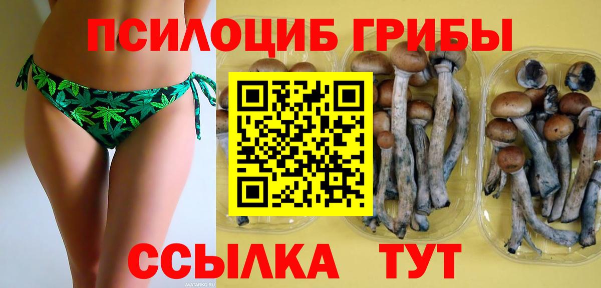 Псилоцибиновые грибы прущие грибы Гатчина