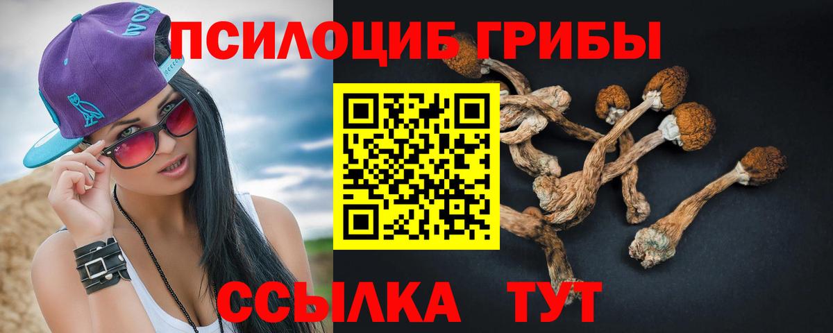 Галлюциногенные грибы прущие грибы  Вход с VPN  Гатчина 